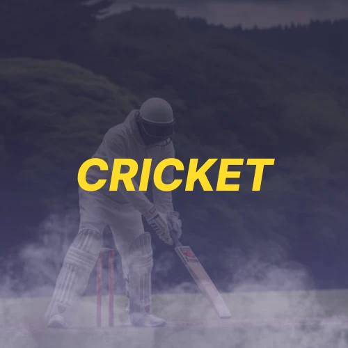 Bet on international and domestic cricket matches with competitive odds at Betacular.