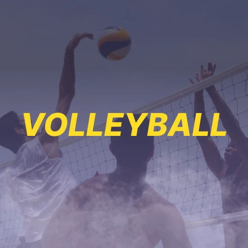 Place bets on major volleyball leagues and international tournaments at Betacular.